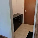 Paunovi Guest house 2*