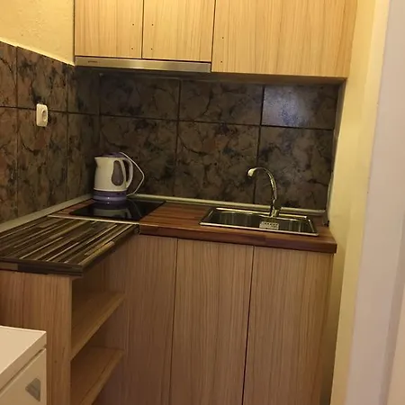 Πανσιόν Paunovi