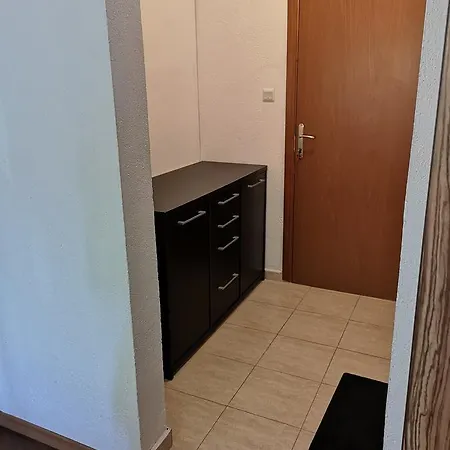 Paunovi Guest house 2*